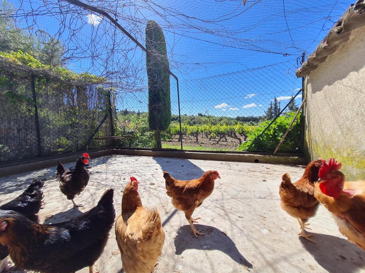 Domaine La Condamine Affittacamere *